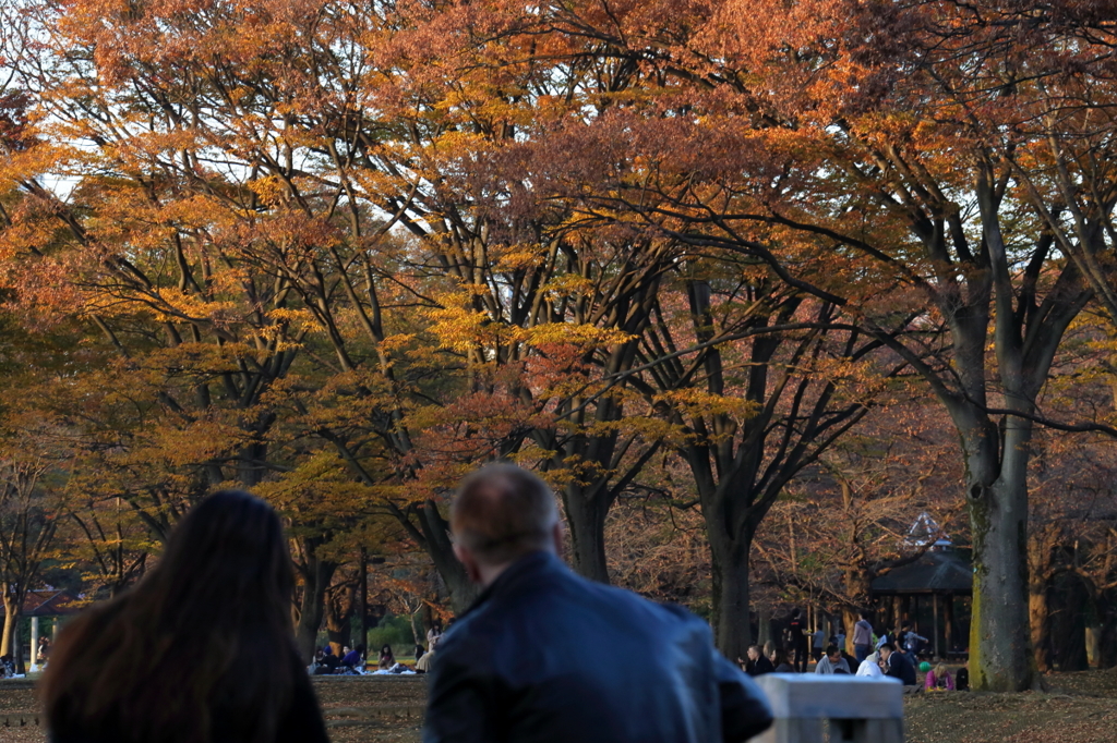 公園の人々－１４