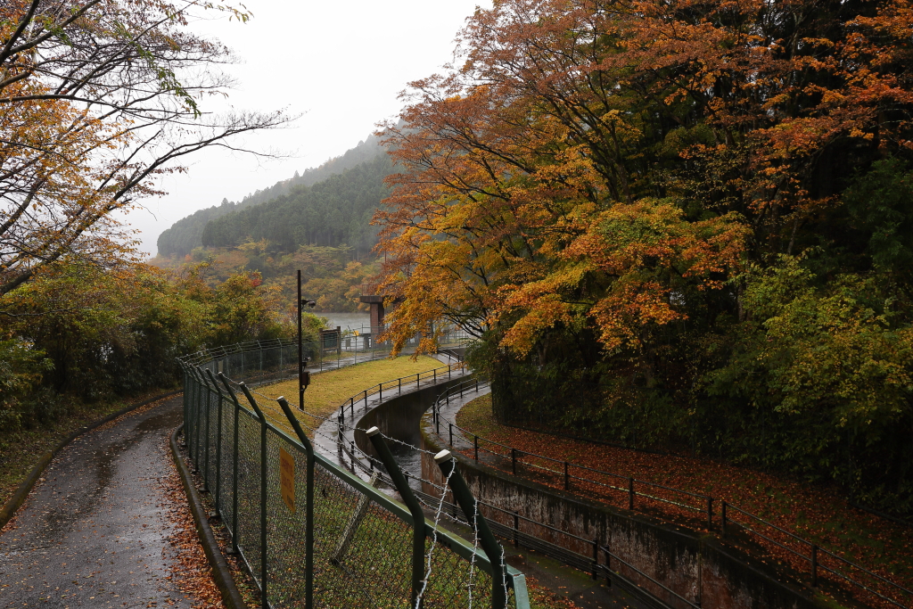 雨の水門