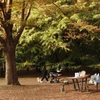 公園の秋　３