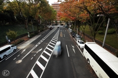 西新宿の秋