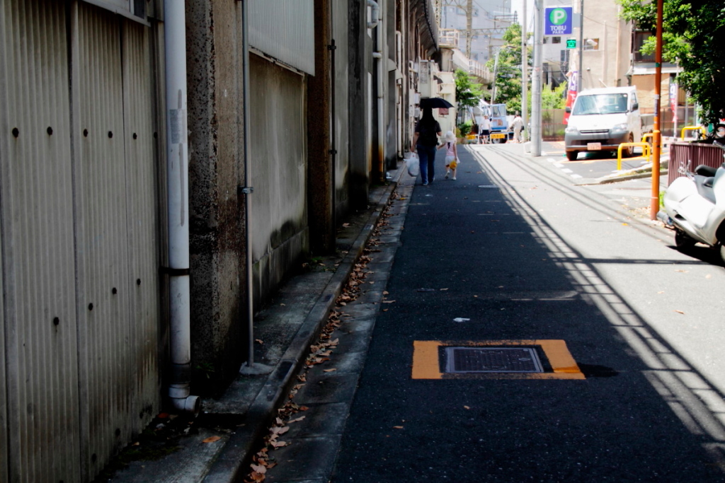 日かげ道