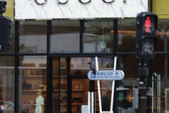 新宿駅前のカラス