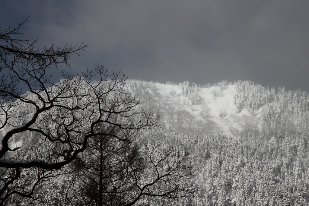 見上げればそこに雪山