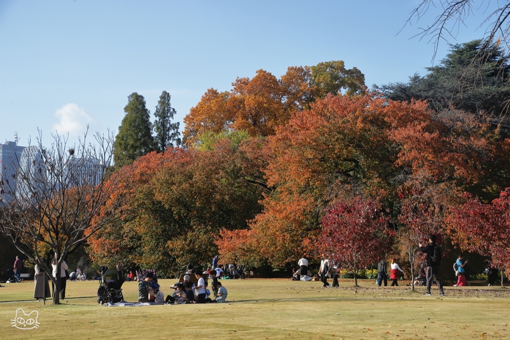 紅葉の新宿御苑　１