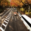 新宿中央公園の連絡橋から －２