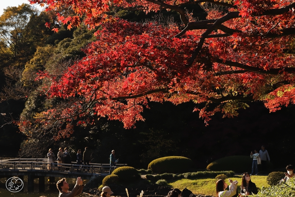 紅葉狩りの人々