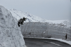 雪の回廊