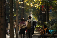 週末は街路樹の下で