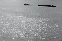 晴海埠頭沖