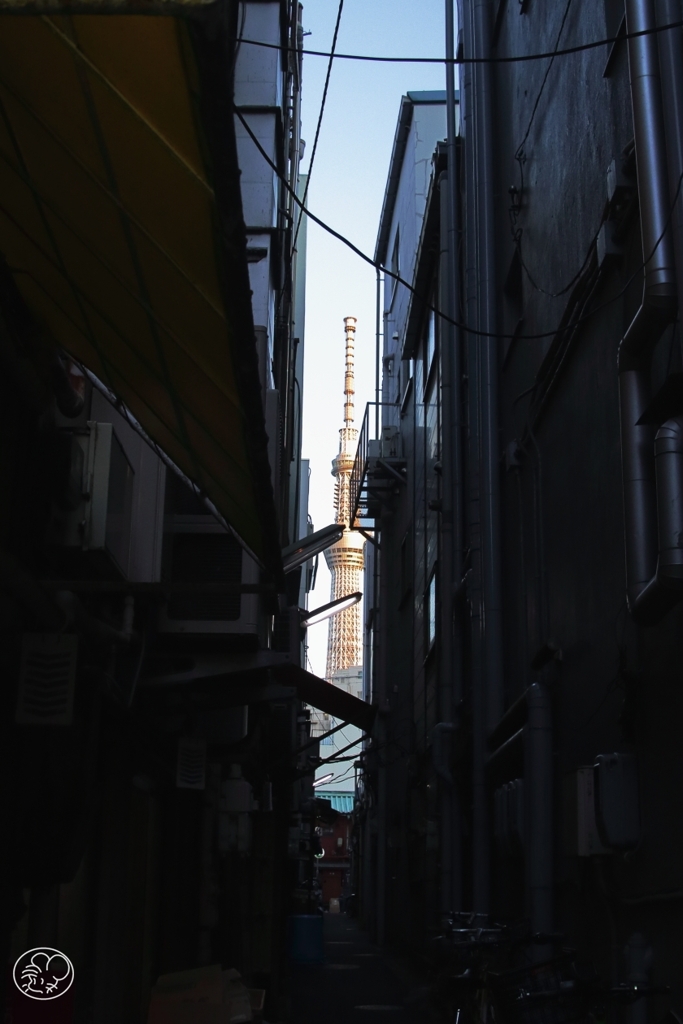 隙間のスカイツリー