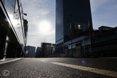 朝の散歩道 －１３