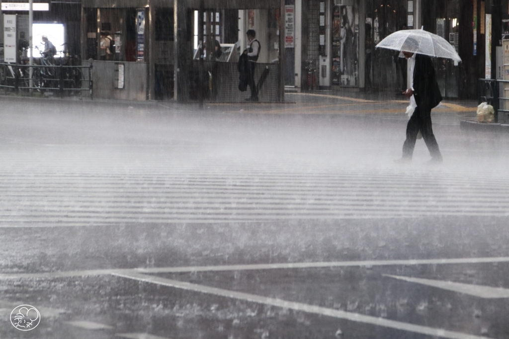雨を踏んでゆく