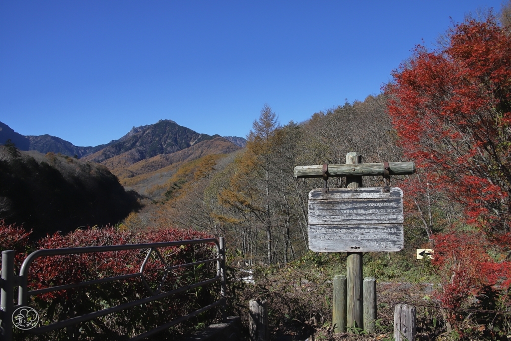 東沢大橋展望台