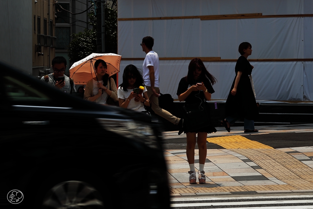 疾走する夏