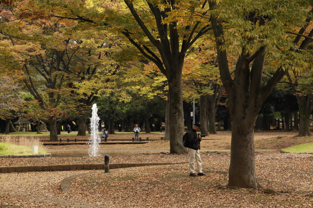 晩秋公園　２