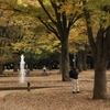 晩秋公園　２
