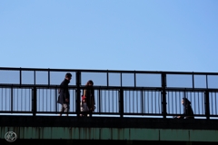 陸橋