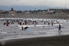 ９月の海の賑わい