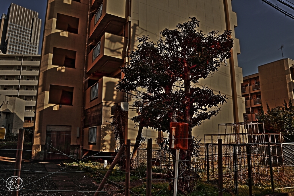 廃墟 －４