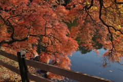 タムケヤマ　１