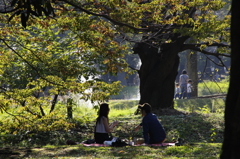 木陰の日曜日