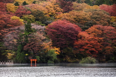 雨上がりの湖畔