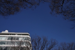 表参道の頭上　４
