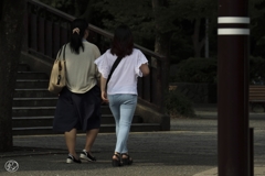 夏の日蔭