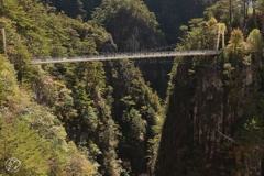 瀬戸合峡渡らっしゃい吊橋