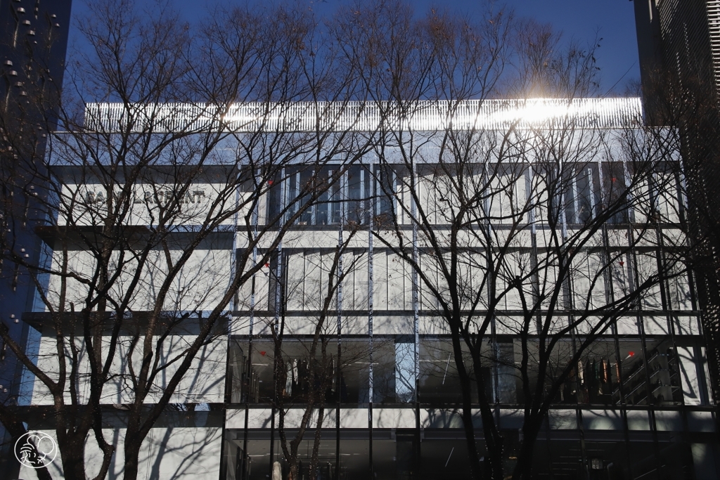 表参道の頭上　８