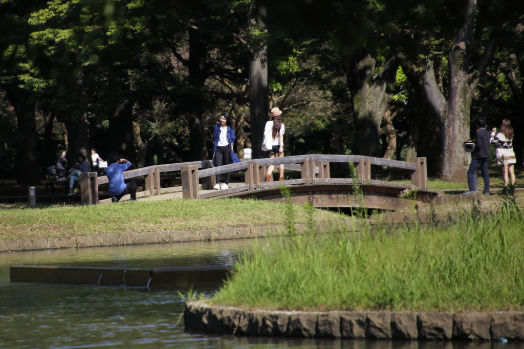 公園の人々