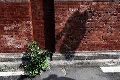 限界