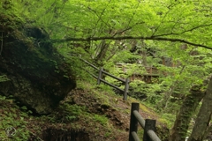 この先通行止め