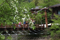 河童橋のズミ