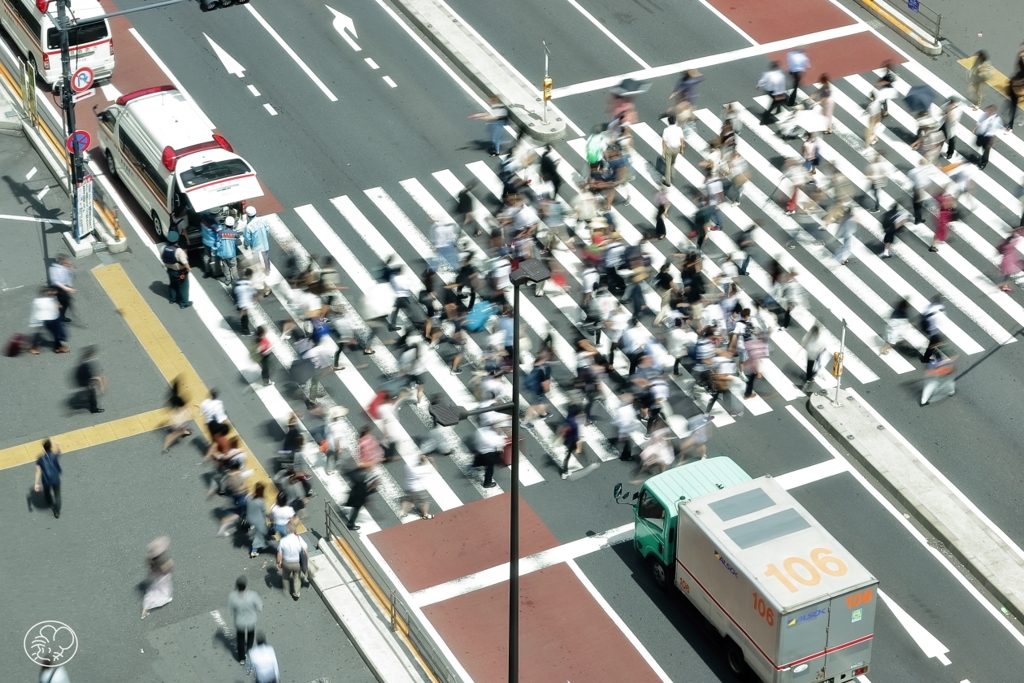 ゼブラゾーンの夏