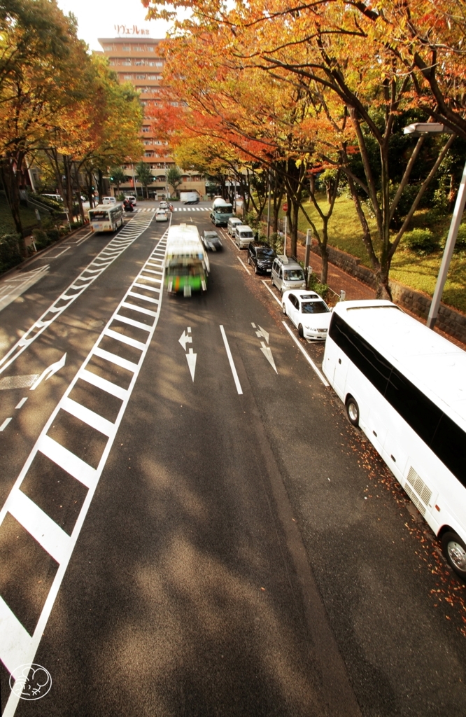 新宿中央公園の連絡橋から －１