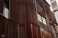 日本橋界隈　１３