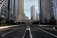 朝の散歩道 －５