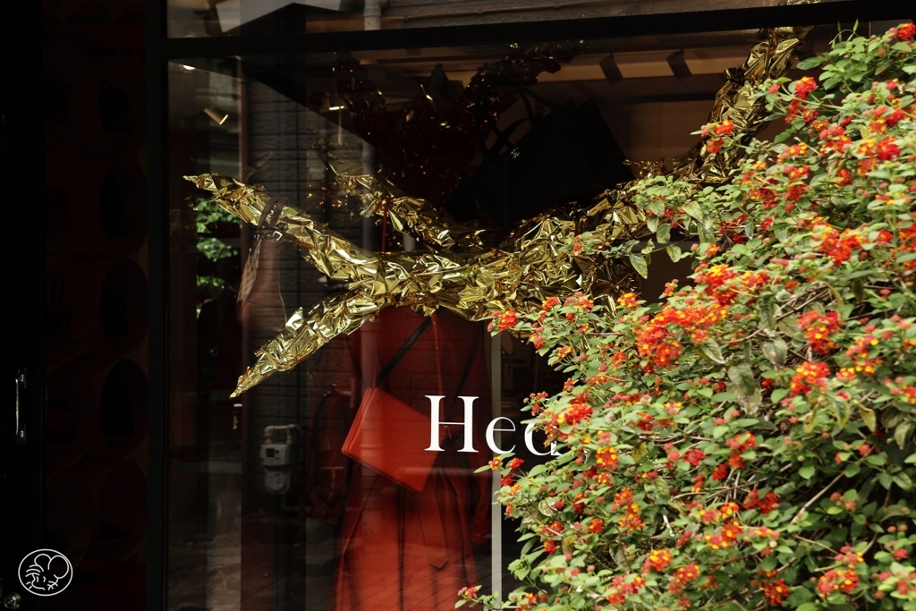 代官山の店 －３