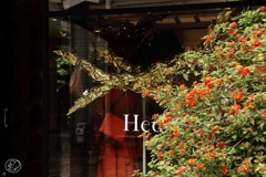 代官山の店 －３