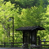 白骨温泉
