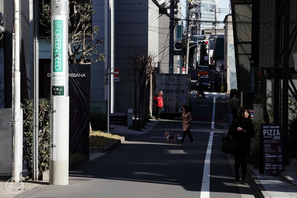 午前の日射し
