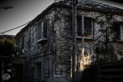 表参道界隈 －５