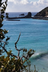 田牛海岸　１