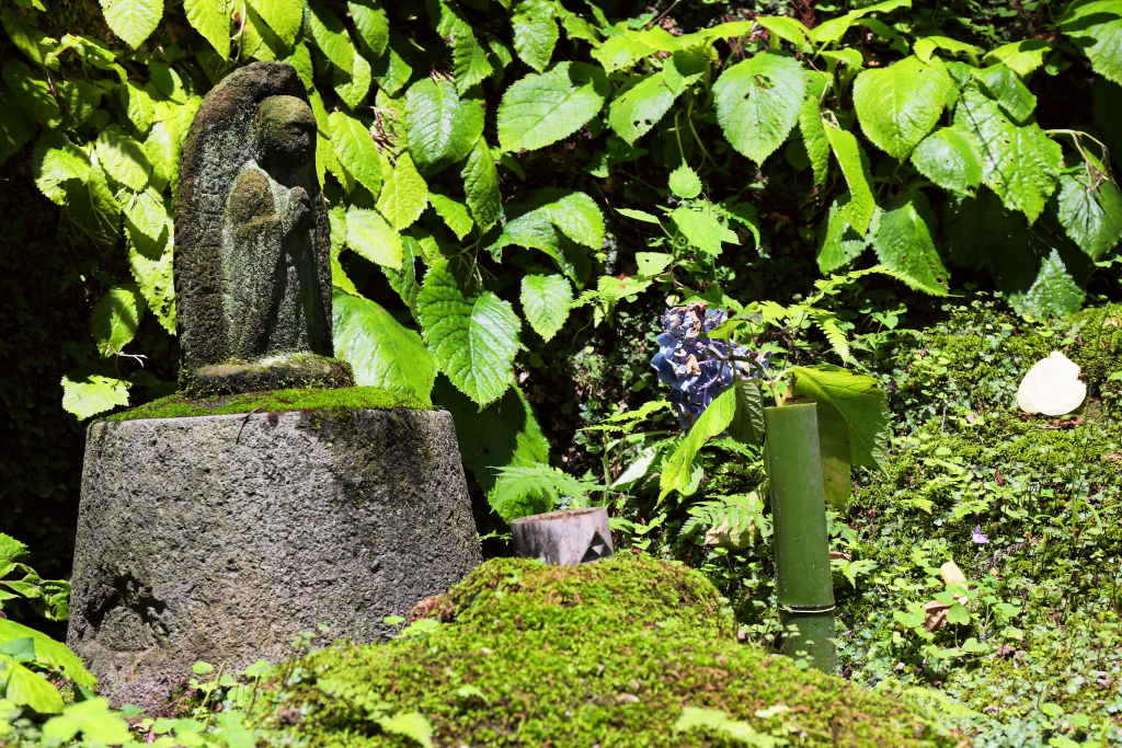 梅雨の晴れ間