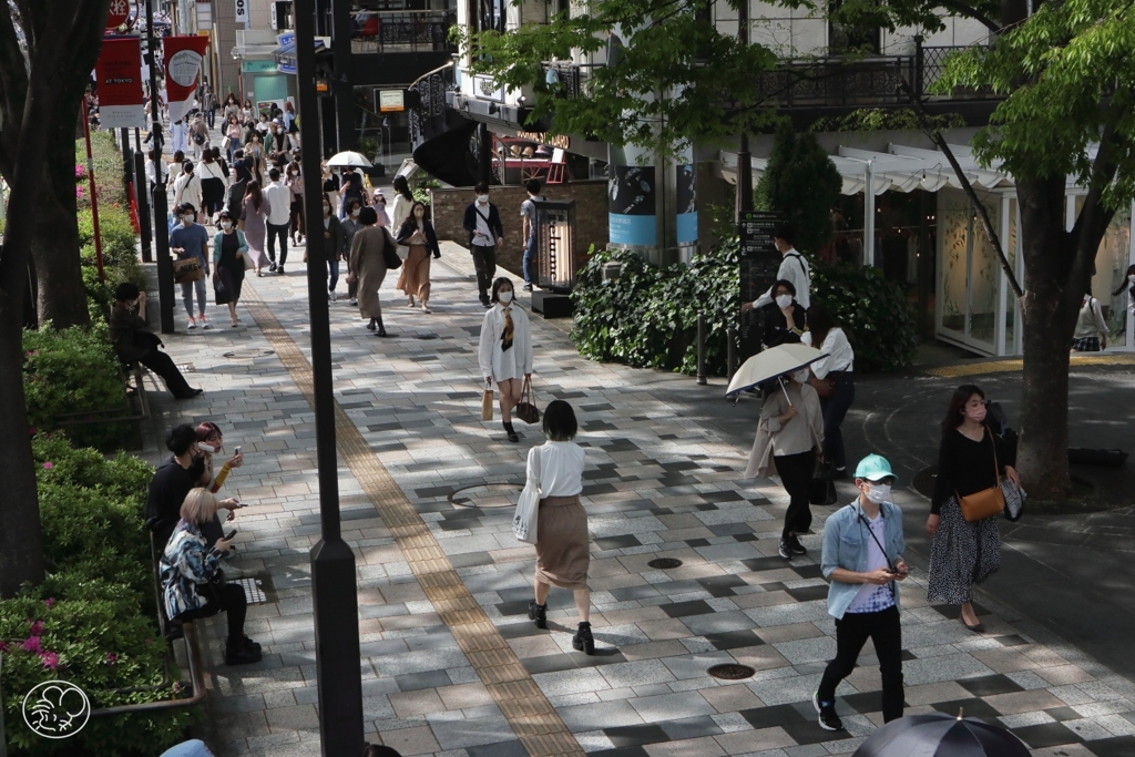 初夏の日射し