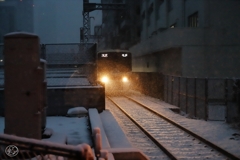 東京に雪が降った日　１