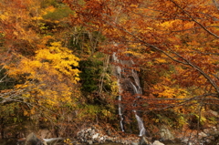 照葉峡の秋