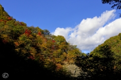 色づきの山路