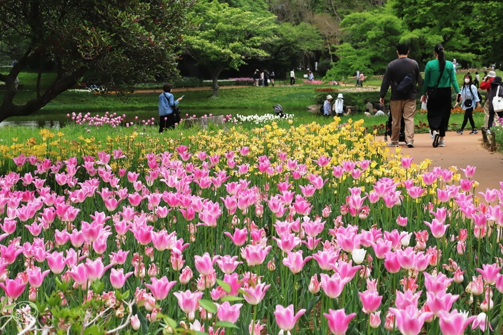 昭和記念公園　８